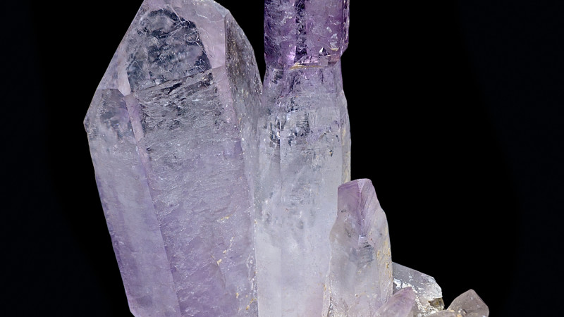 What to Expect When You’re ENVS-ing