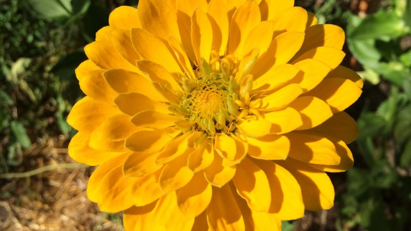 My Expectations and What They Really Meant