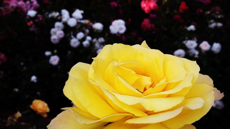 Not Letting Expectations Rule Reality