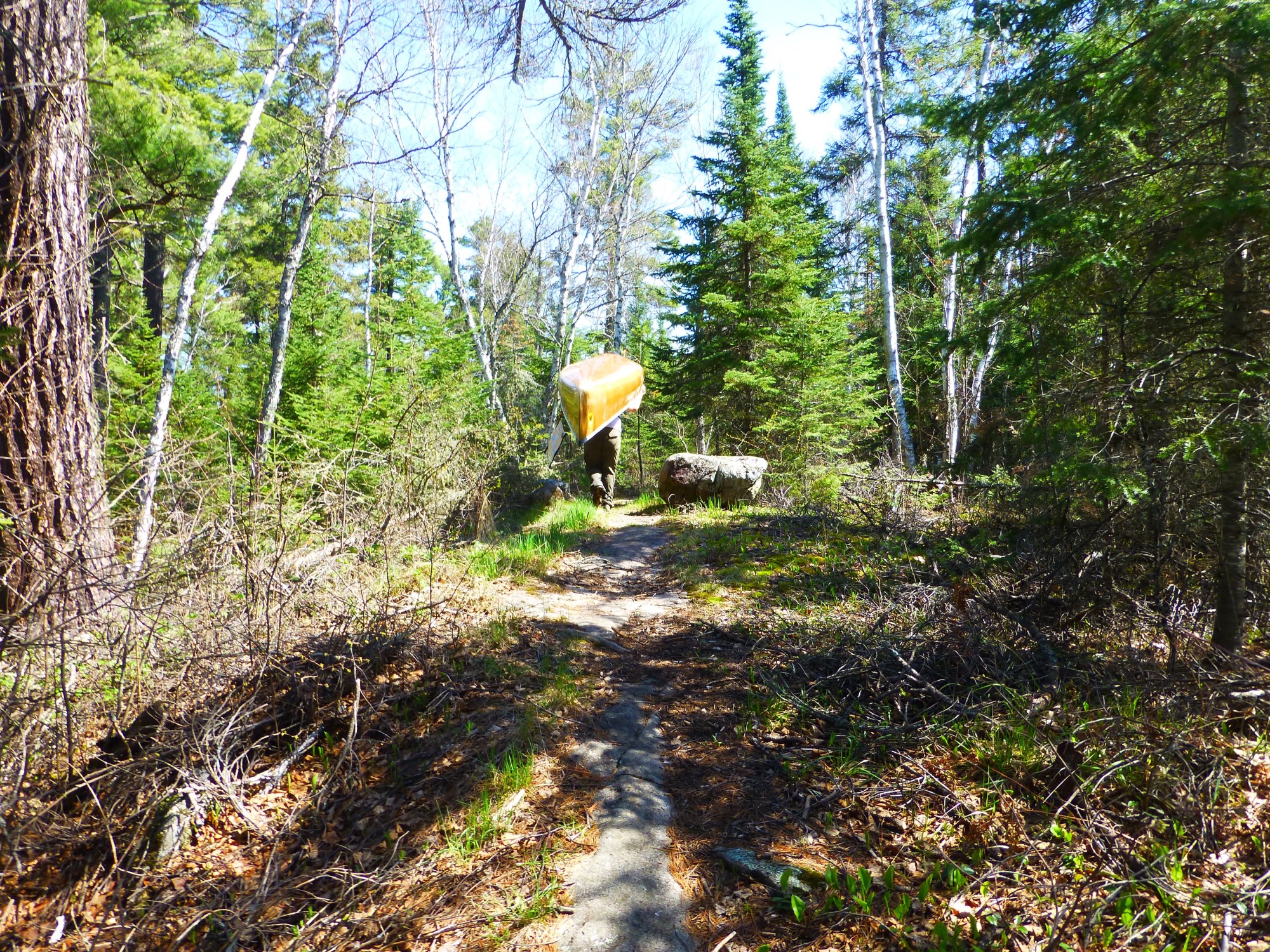 “To the Flannel-Clad, Ukulele-Playing Señorita From Minnesota”
