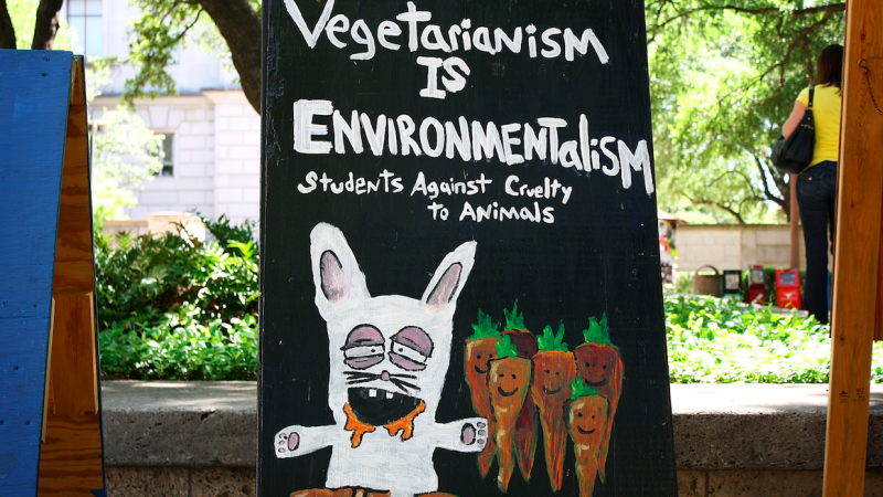 A Pacifier or a Panacea?