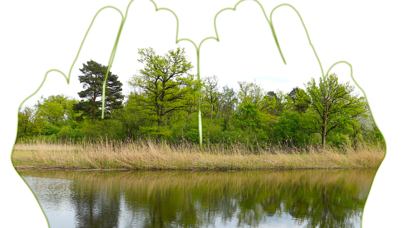 A Passion for Education and the Individual Impact