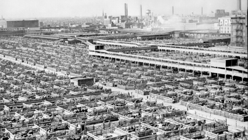 Vegetarianism: Environmental Action?