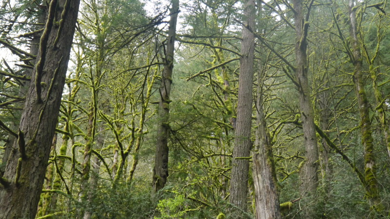 Challenging Perceptions