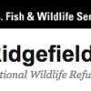 Opportunities at Ridgefield National Wildlife Refuge, WA