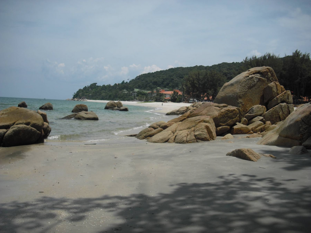 Screen Shot 2017-02-21 at 12.20.55 PM