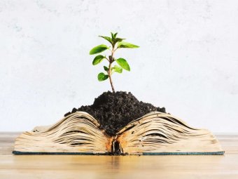 Let’s Get Critical About Ecocriticism