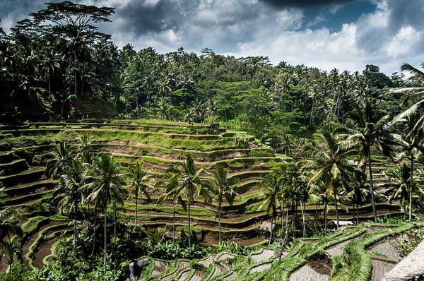 Through the Lens of a Political Ecologist