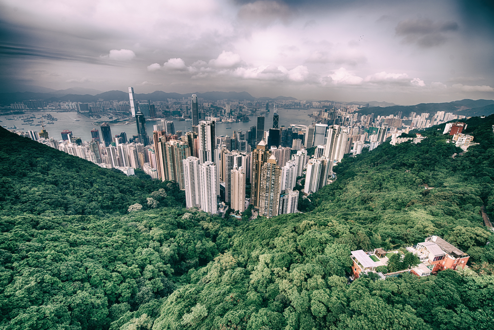 Ecomodernism: A Realistic Solution?