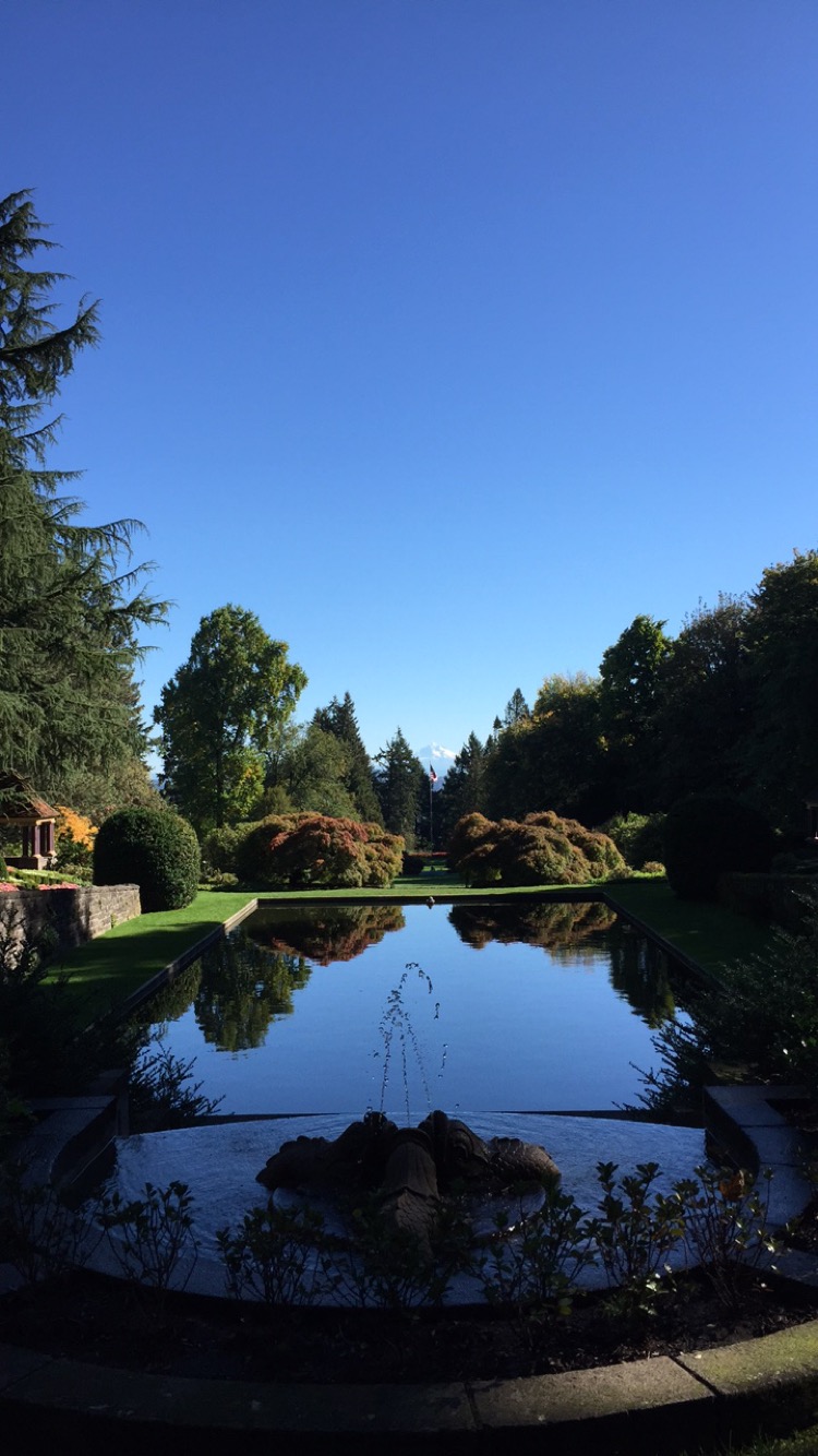 A Fresh Start… Again