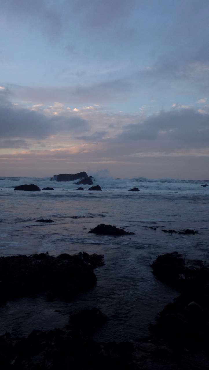 Environmental Studies: The Story of How I Do Not Know as Much as I Thought I Did