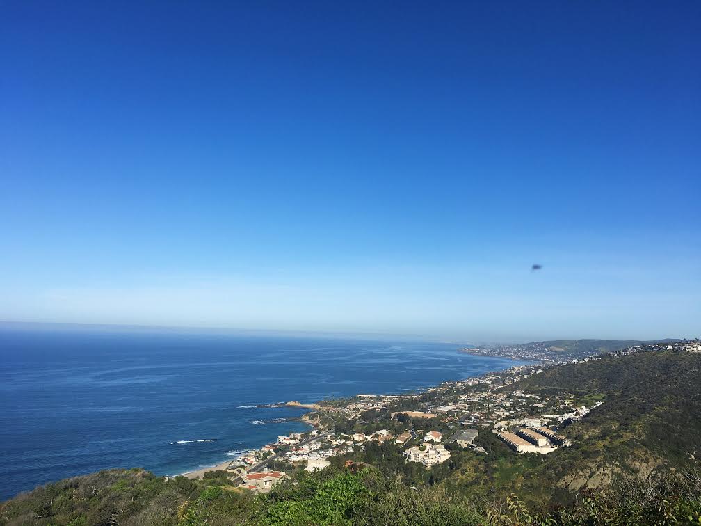 Where To Go From Here