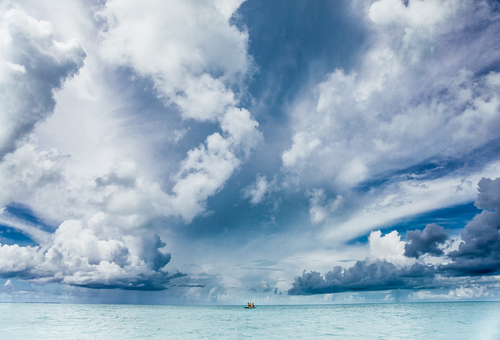 Scholarly Connections