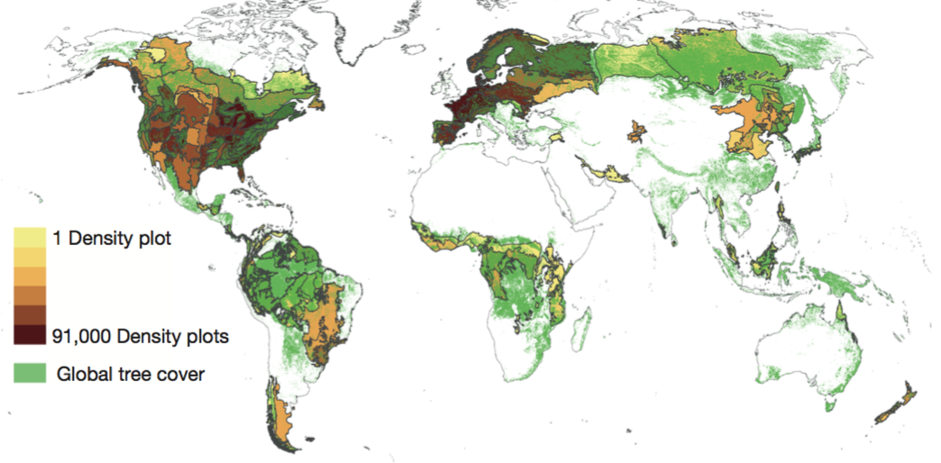 Earth has 3.04 Trillion Trees, New Study Reports