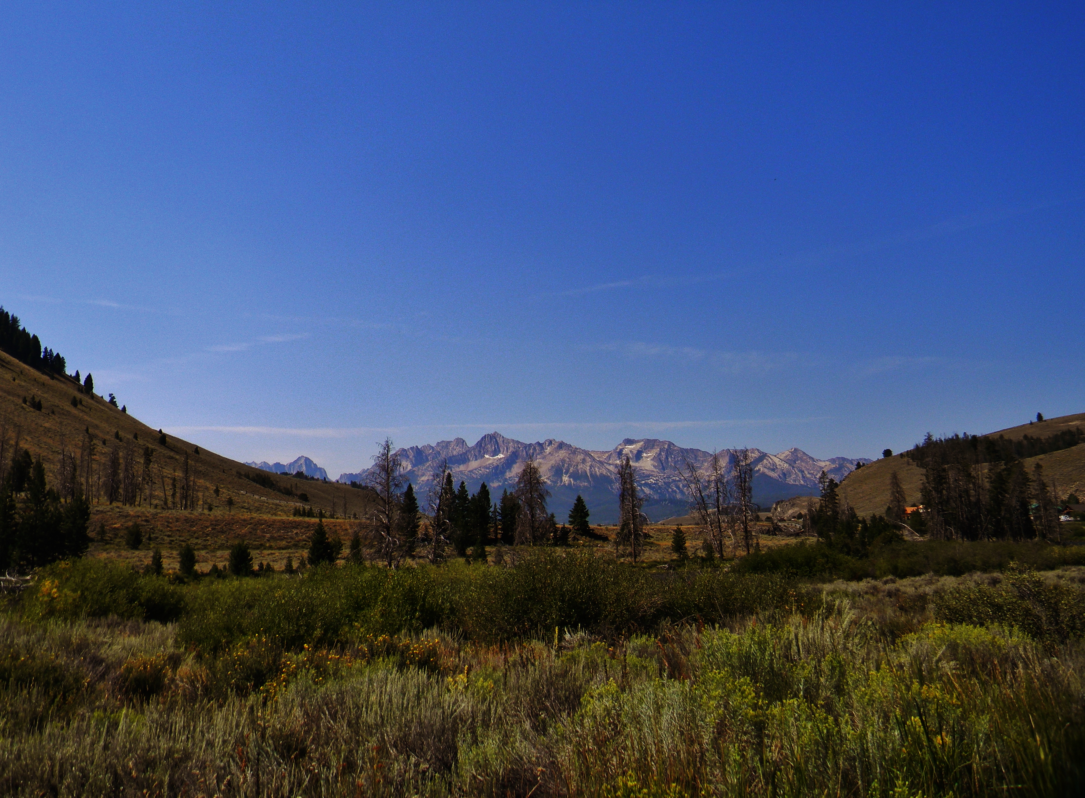 A Reflection on Breadth