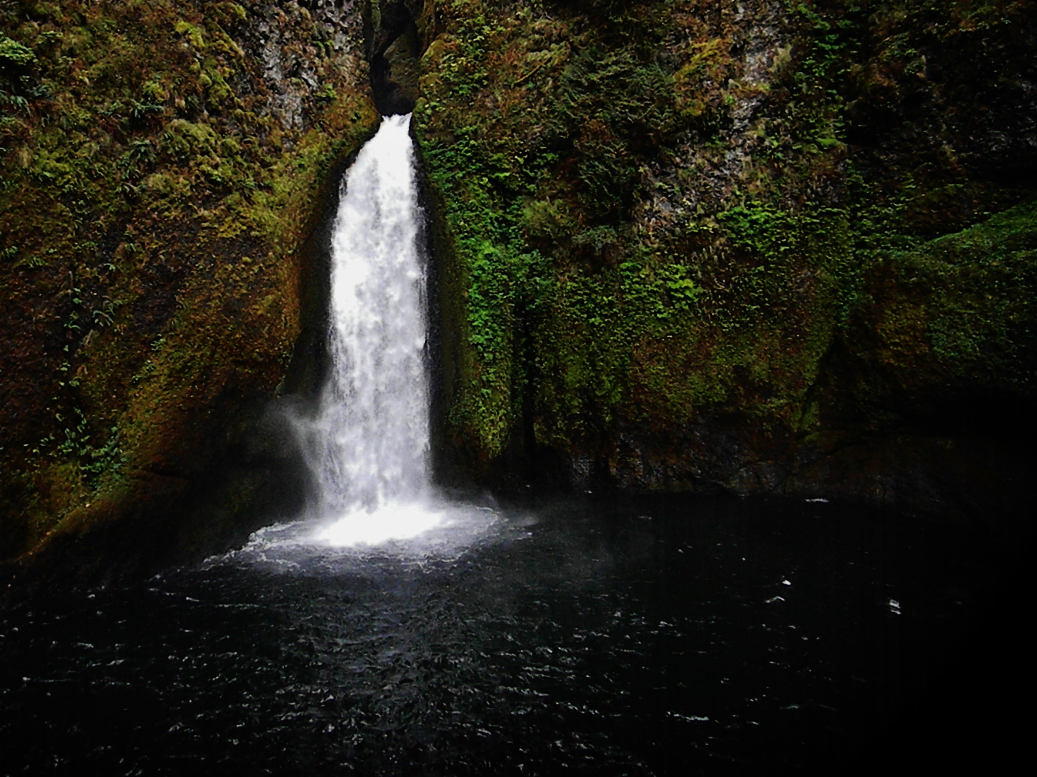 Environmental Theory: Beginnings