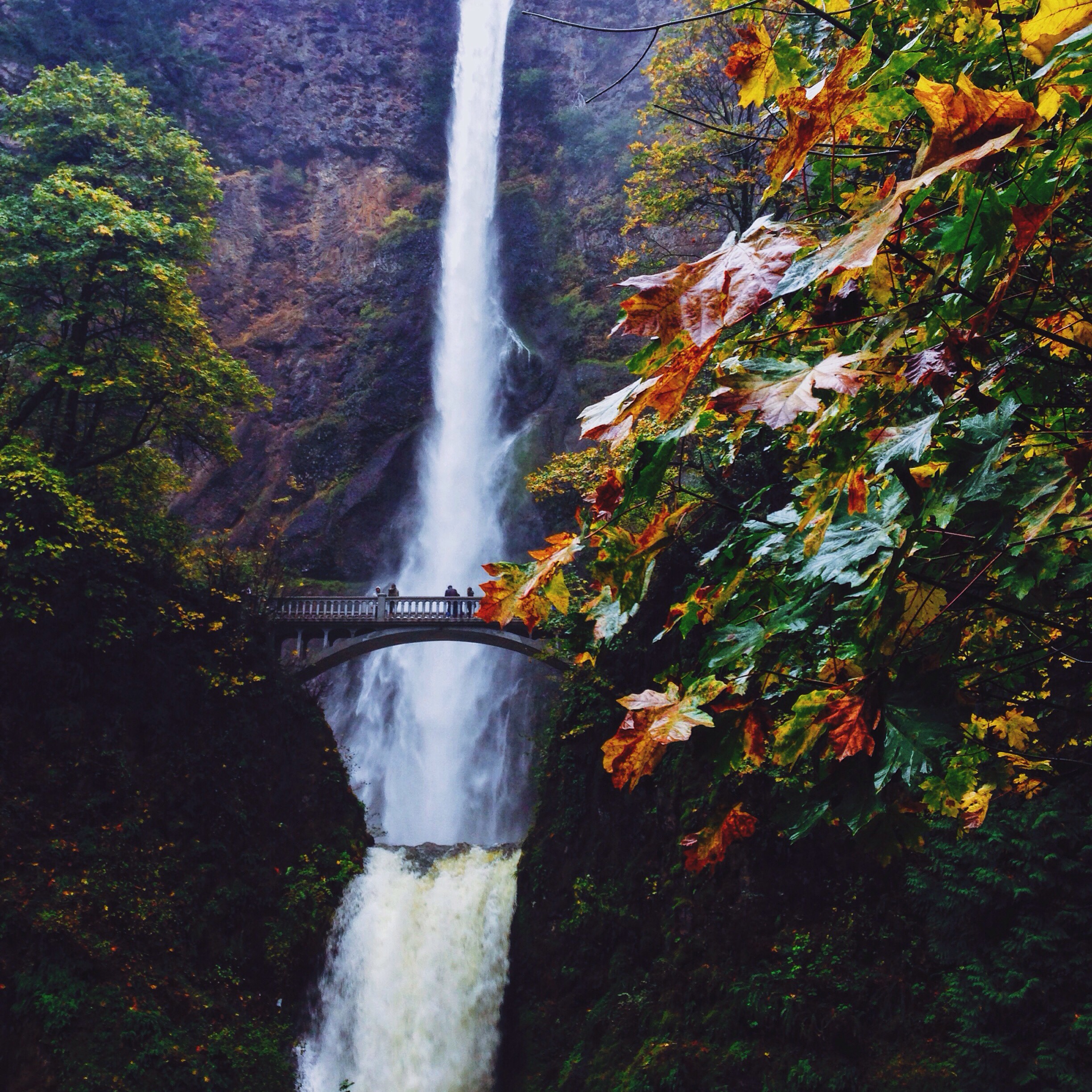 Did I Answer Your Question?