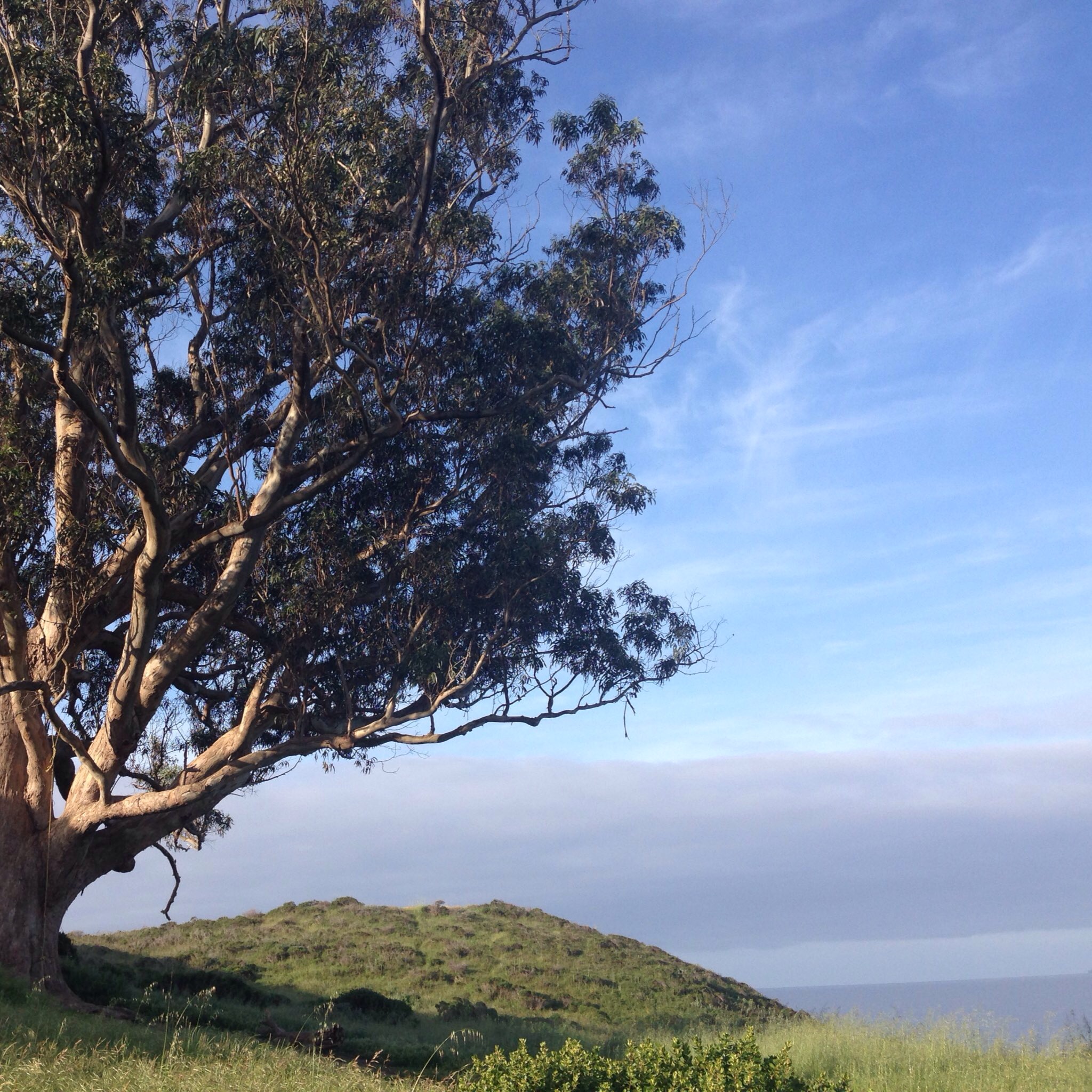 Fact & Fiction; Data & Methods