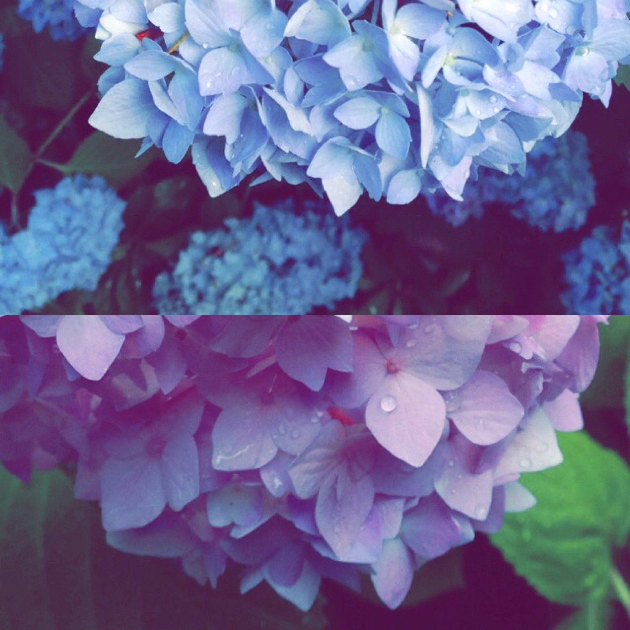 Fundamental Readings, Fundamental Metaphors