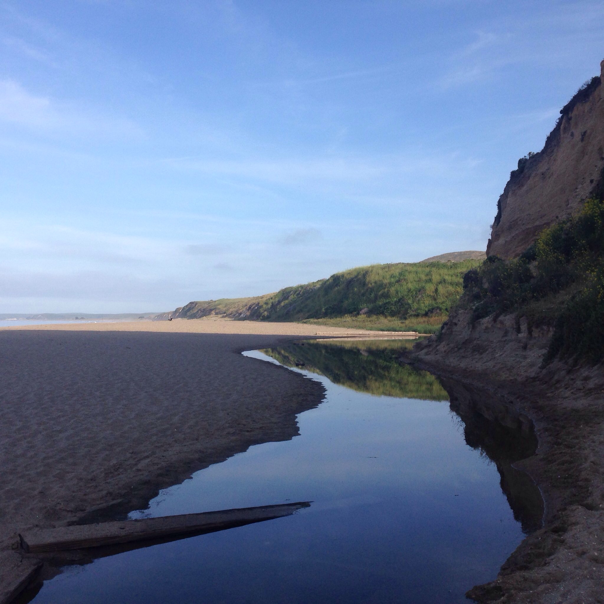 From the Bottom Up: The State of my Research