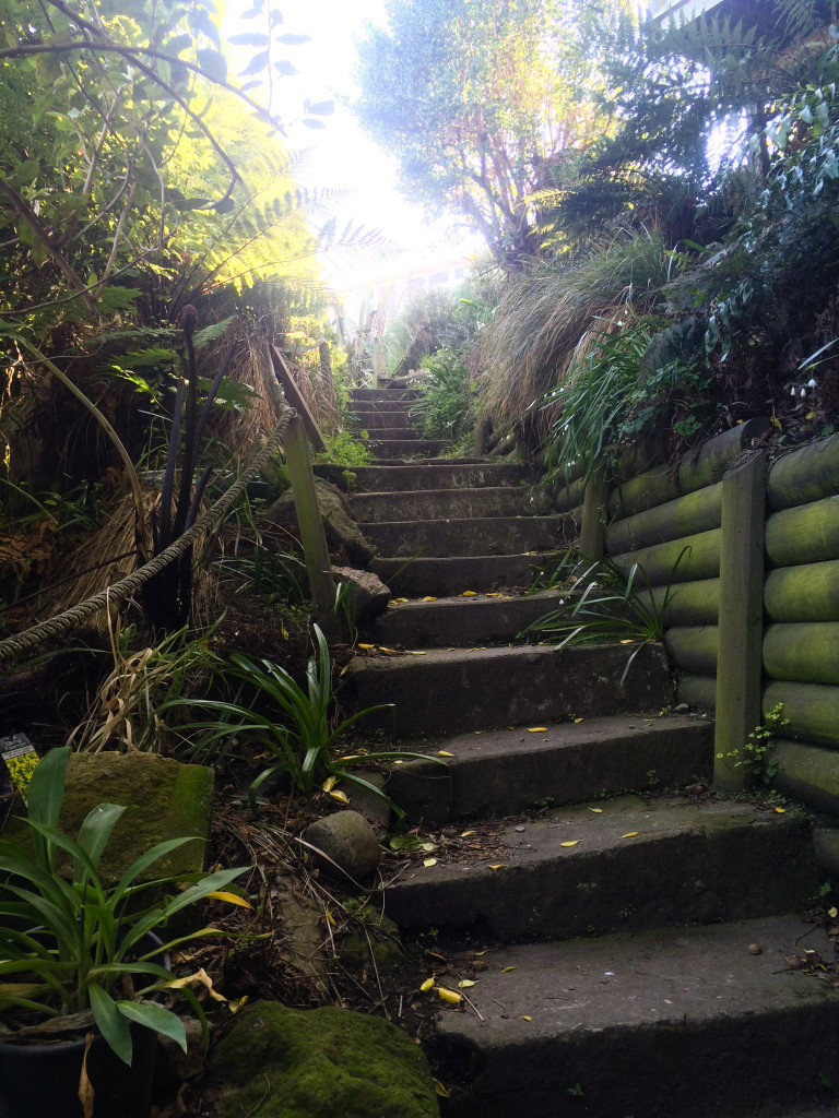 The stairway to get to my home away from home.