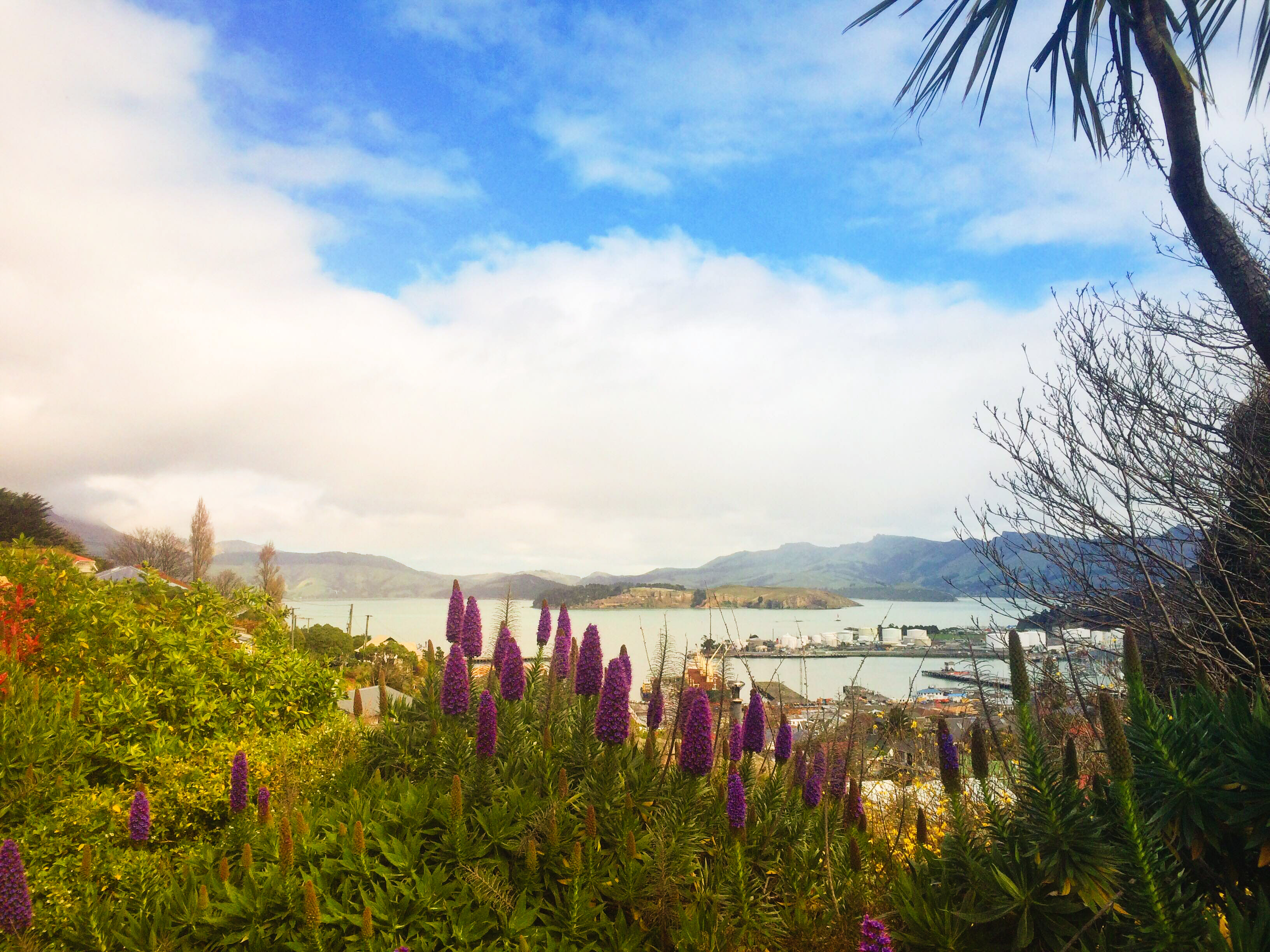 Welcome to Lyttelton: Getting Situated