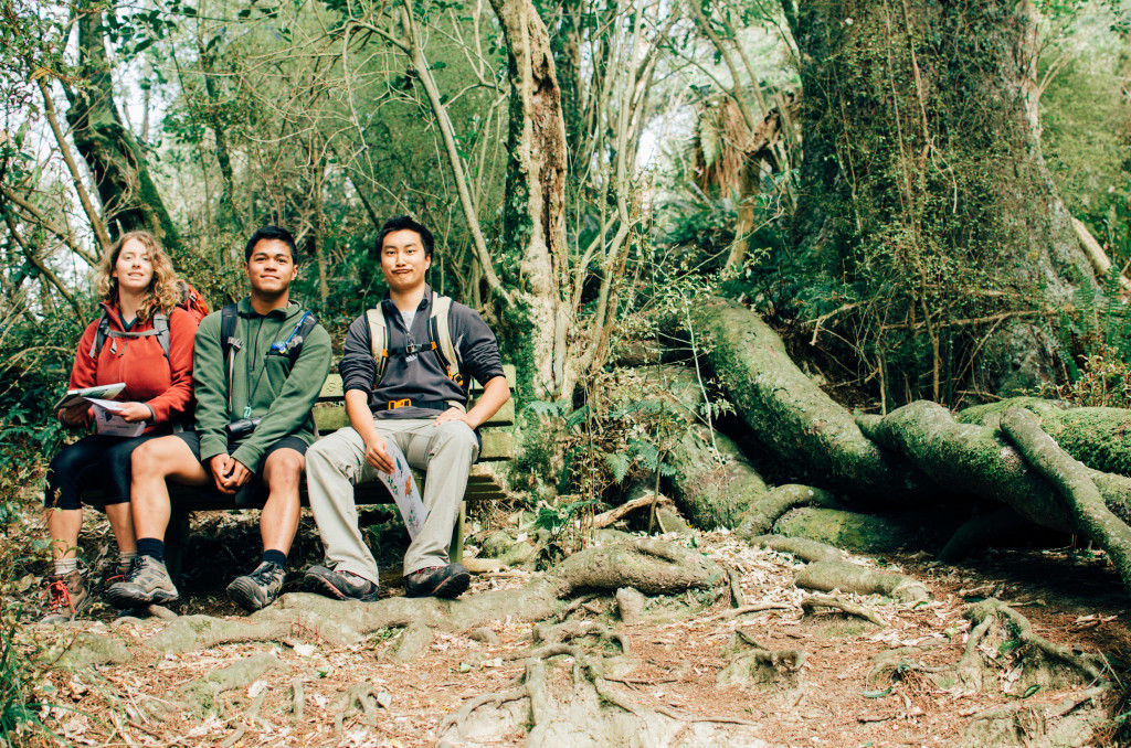 Plant identification walk in small groups