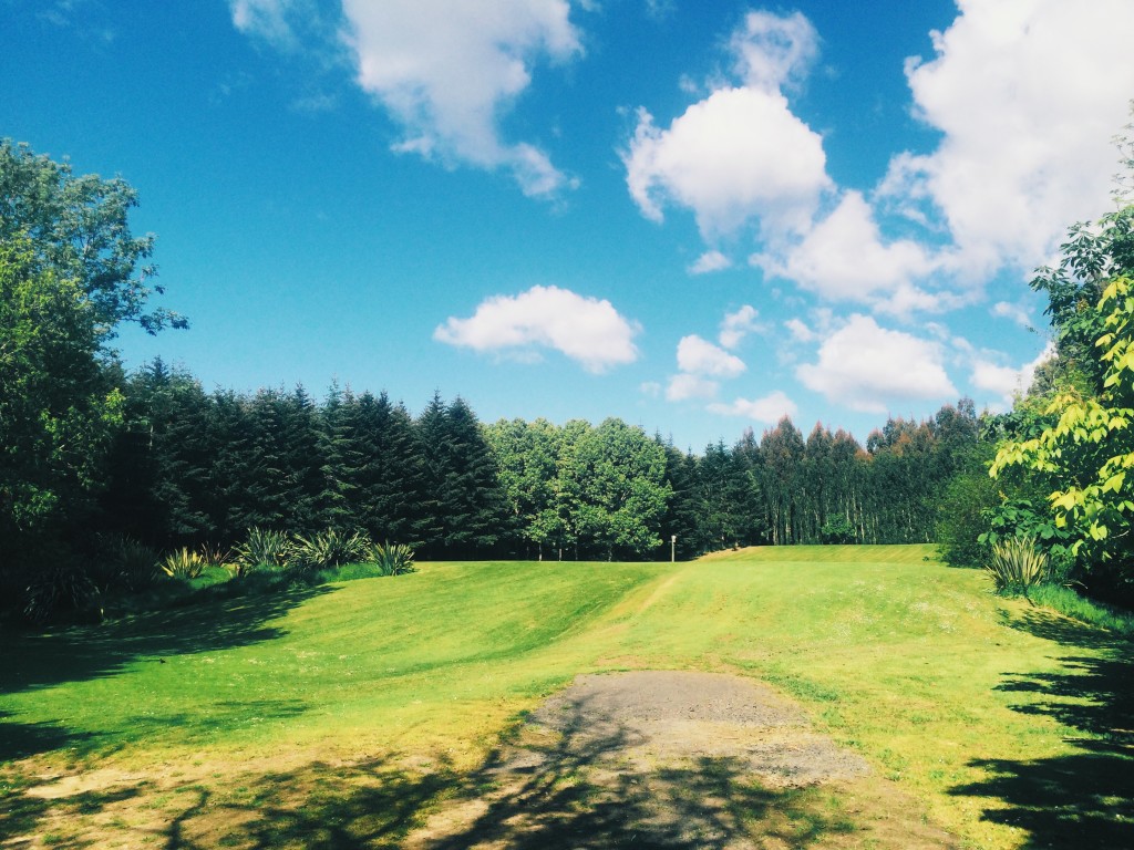 An empty field behind Kaikorai Valley College that will be turned into an experimental urban sustainability farm