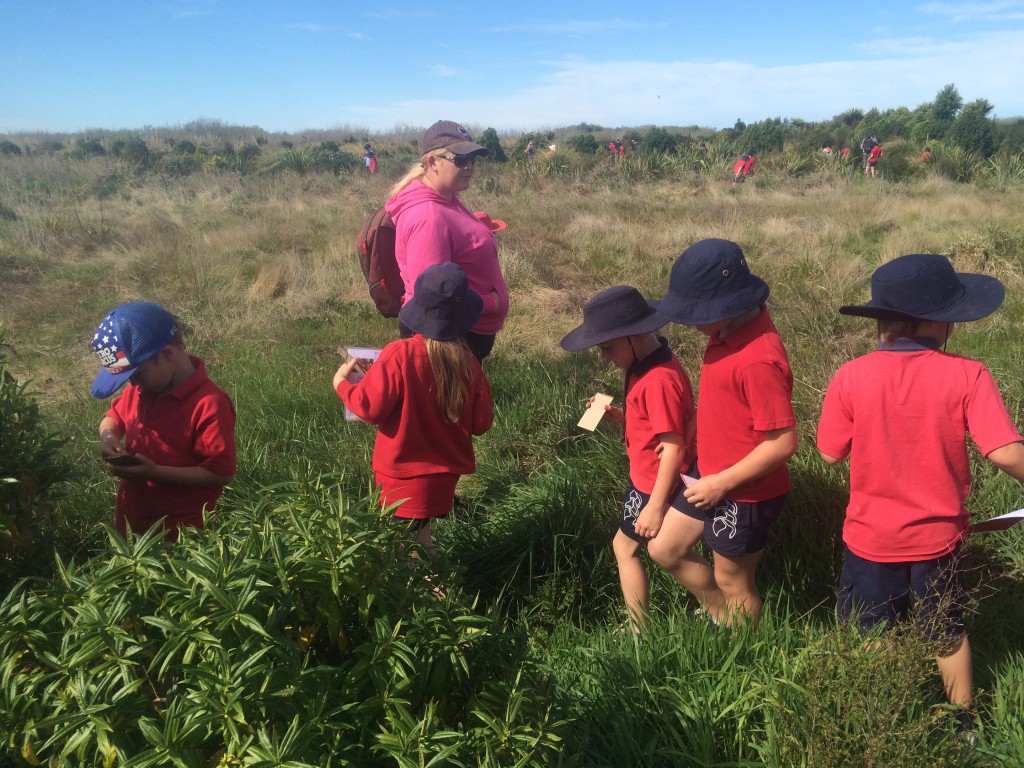 Leeston students on a "bug safari" during the plantout field day