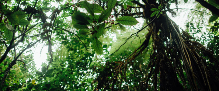 Relevance and Legitimacy: The Joy of Journals!