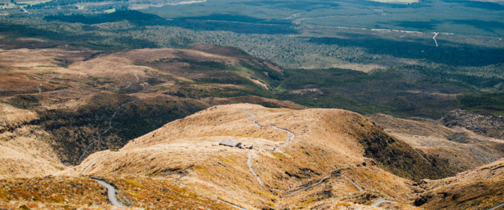 The Long and Winding Road: Week One