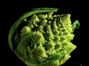 1024px-Romanesco_broccoli_fractals