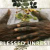 Blessed Unrest Literature Analysis – Jay, Maya, Tasha