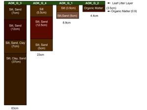 Aokigahara Soil Figure
