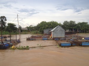 Floating FIsh Market