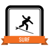 Badge icon "Surfing (515)" provided by The Noun Project under The symbol is published under a Public Domain Mark