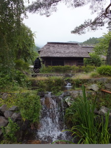 DSCF5971-e1406938121845-1