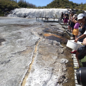 16118630117_f99c048b6b_o