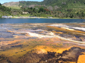 16118955457_8039293fd7_o