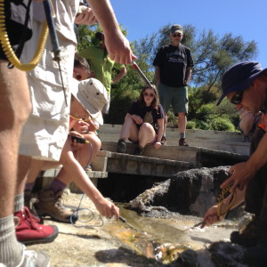 16304277635_7c9ab471f2_o