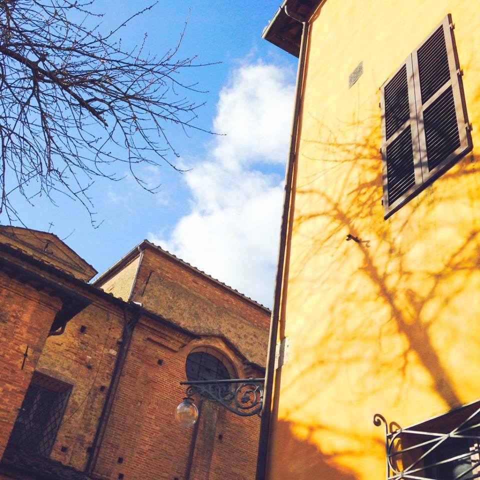 Tasting, Breathing, and Living Siena.