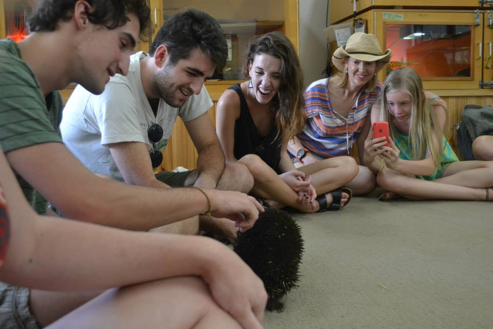 Australia’s natural and unnatural world