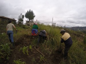 10941456_10155132356750223_4048008593908143206_n