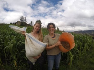 1970951_10155132355970223_8940742906110244640_n