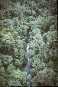 volando sobre la selva en Mindo