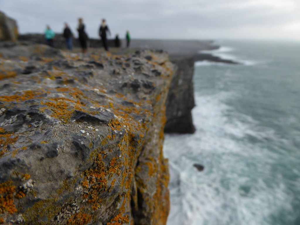 Life on the Aran Cliffs