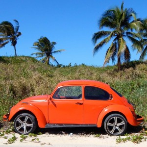 DSCN0121 - Version 2