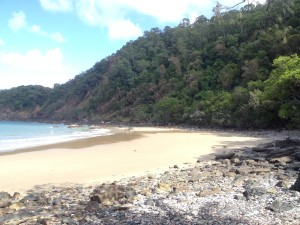 DaintreeXGreat Barrier