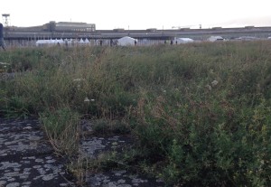 12027336_718427544968388_5935744020309382261_o