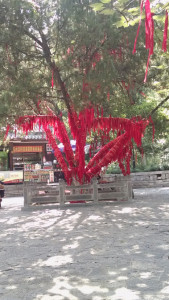 IMG_20150906_111703626[1]